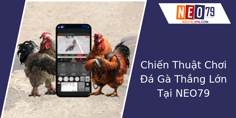 Chiến Thuật Chơi Đá Gà Thắng Lớn Tại NEO79