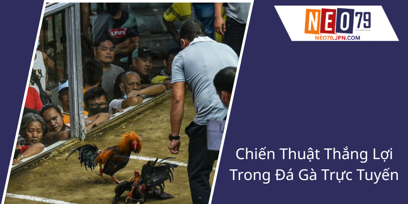 Chien Thuat Thang Loi Trong Da Ga Truc Tuyen2