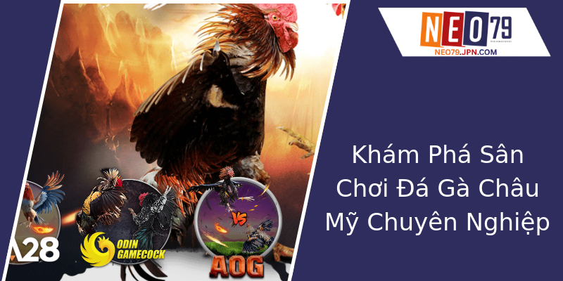Khám Phá Sân Chơi Đá Gà Châu Mỹ Chuyên Nghiệp