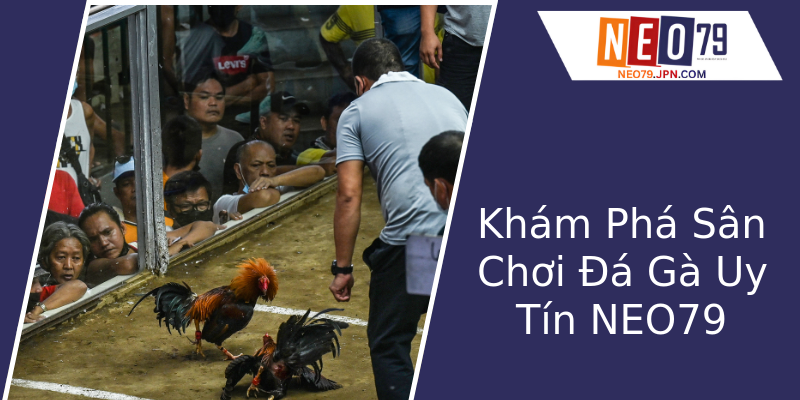 Khám Phá Sân Chơi Đá Gà Uy Tín NEO79