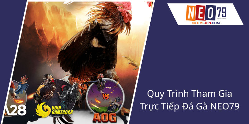 Quy Trinh Tham Gia Truc Tiep Da Ga Neo792