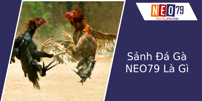 Sảnh Đá Gà NEO79 Là Gì