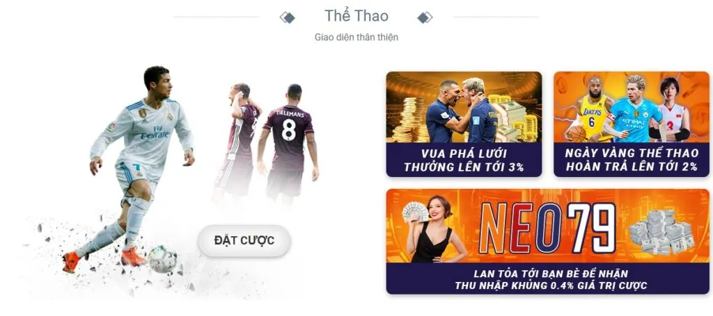 The Thao Neo79