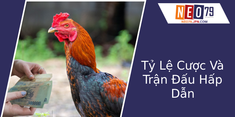 Tỷ Lệ Cược Và Trận Đấu Hấp Dẫn